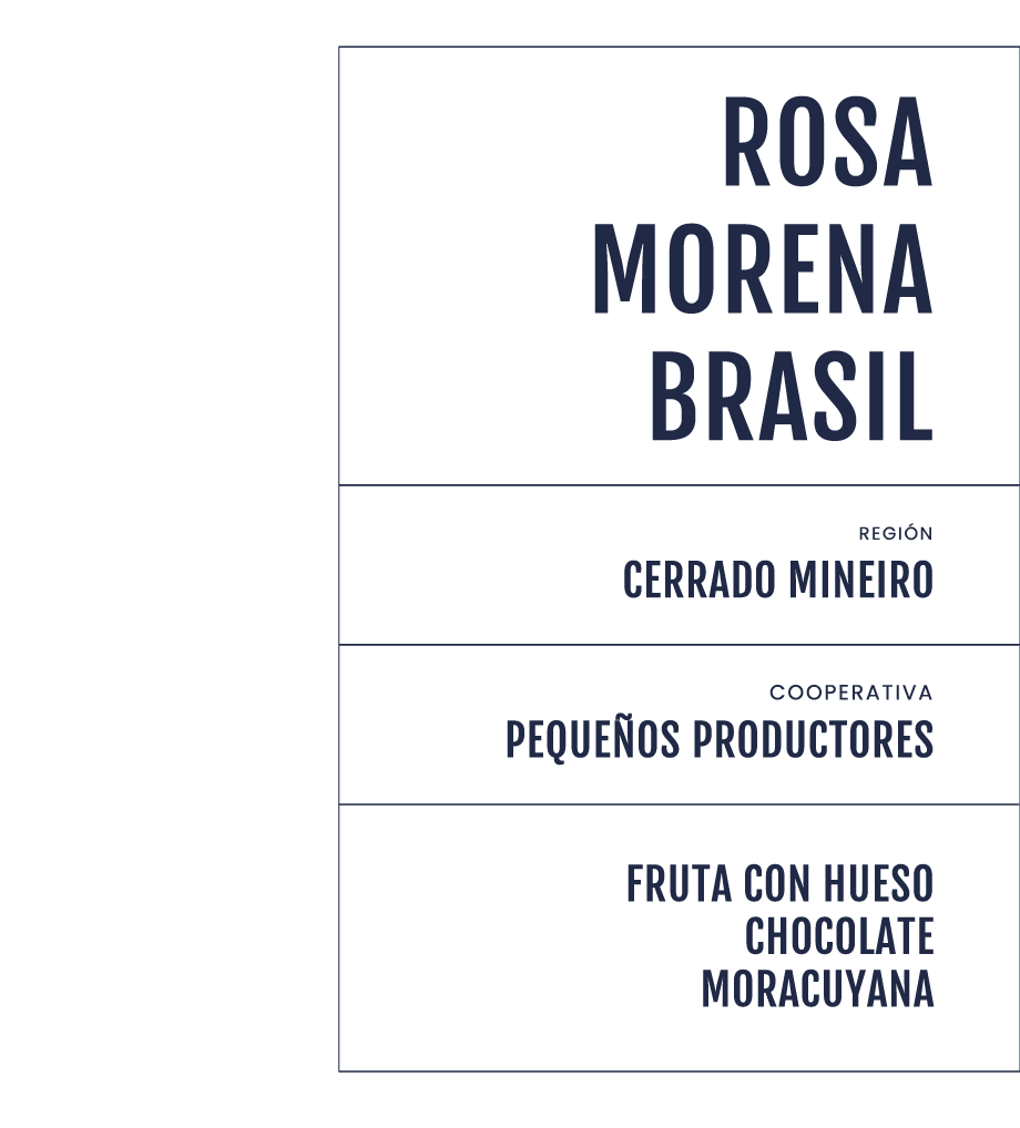 Brasil Rosa Morena